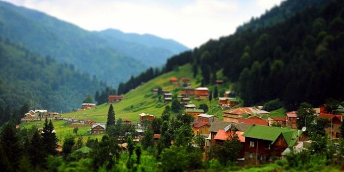 Kaçak yapılaşmanın vurduğu Ayder'e şimdi de kayak merkezi