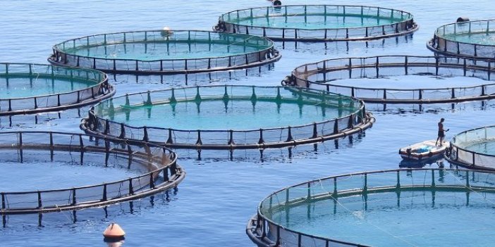 Balık çiftlikleri için ÇED raporu kararı