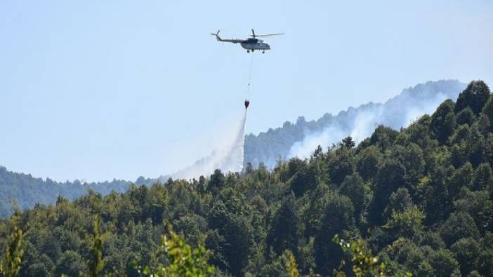 Kastamonu'da orman yangını (24 Ağustos 2018)