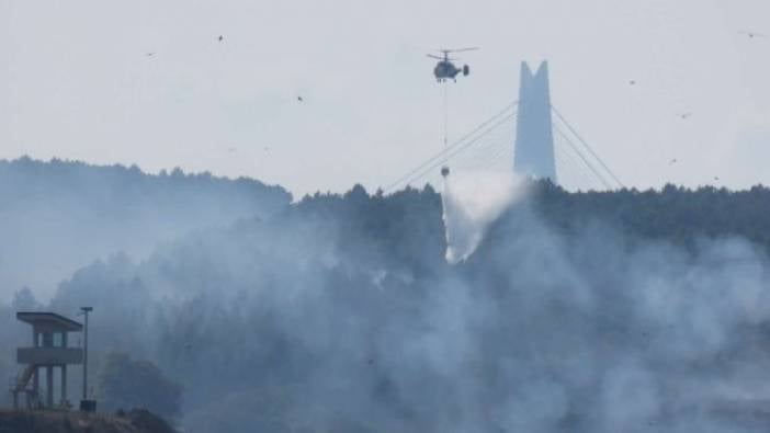 Beykoz'da orman yangını (27 Ağustos 2018)