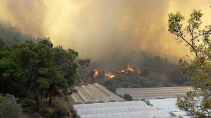 Antalya'da orman yangını (17 Eylül 2018)