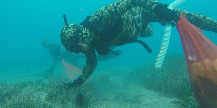 Muğla'da denizden çıkanlar şoke etti!