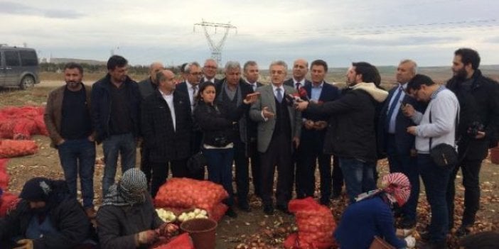 Çiftçiler isyan etti: Hükümet tarımı iflasa sürüklüyor