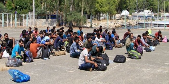 Edirne'de 44 kaçak göçmen yakalandı