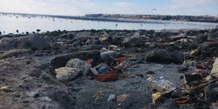 İstanbul'da deniz suyunda korkutan çekilme!