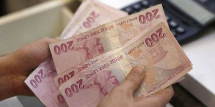 Türk Lirası'nın değer kaybı yüzde 30'u aştı