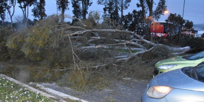 Fırtına Antalya'dan sonra İzmir'i de vurdu