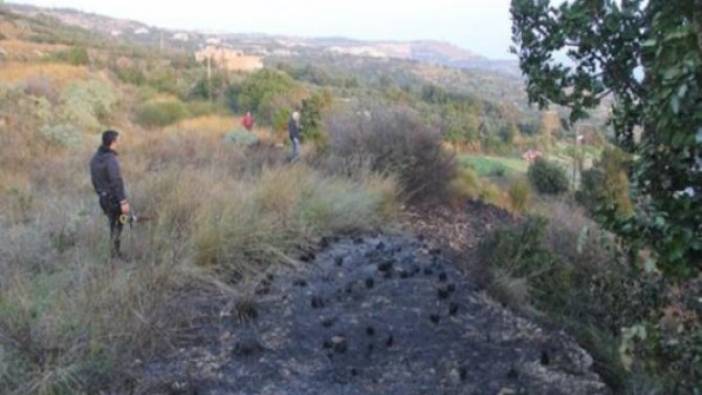 Hatay'da orman yangını (26 Ocak 2019)