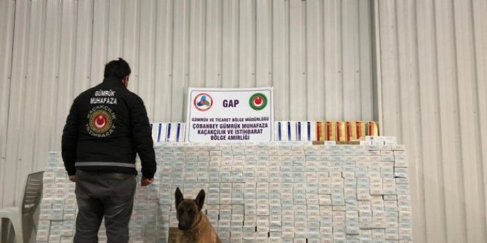 30 bin paket kaçak sigara ele geçirildi