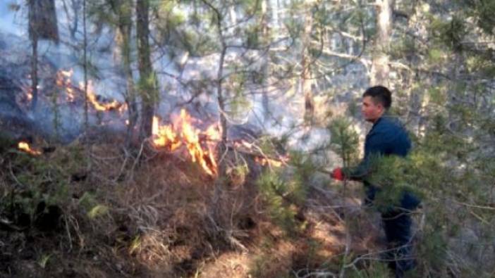 Bolu'da orman yangını (29 Mart 2019)