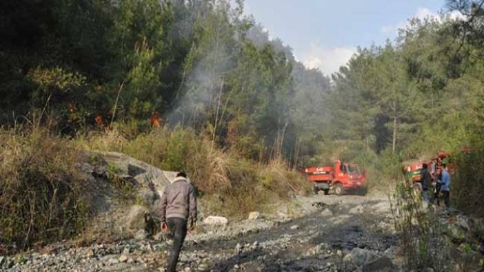 Hatay'da orman yangını (07 Nisan 2019)