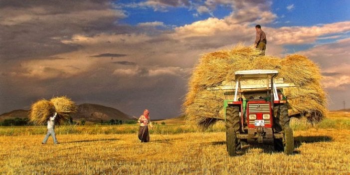 Tarımda yok olmanın eşiğindeyiz!