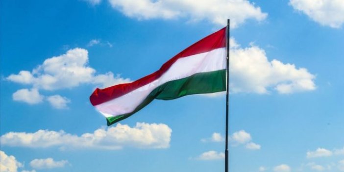 Macaristan'da YPG/PKK'lı çifte hapis cezası