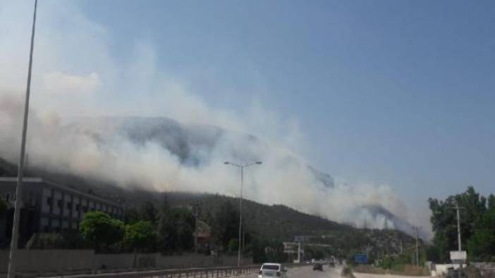 Bilecik'te orman yangını (09 Haziran 2019)