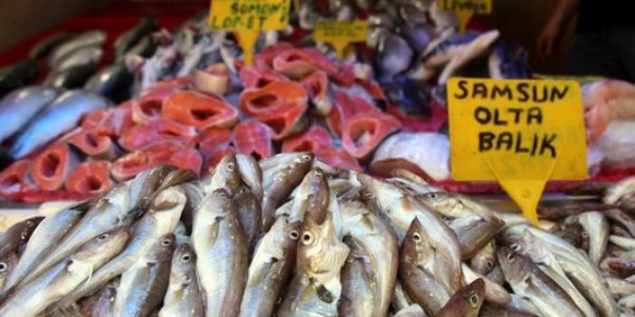 Balık tüketimi bir önceki yıla göre yüzde 11,78 arttı