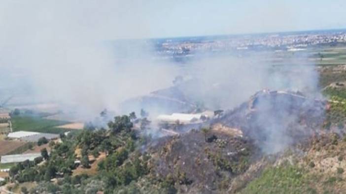 Antalya'da orman yangını (01 Temmuz 2019)