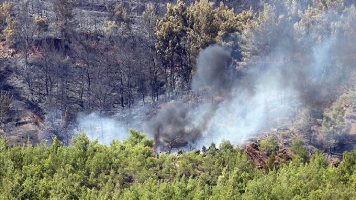 Fethiye'de çıkan orman yangını söndürüldü (11 Temmuz 2019)