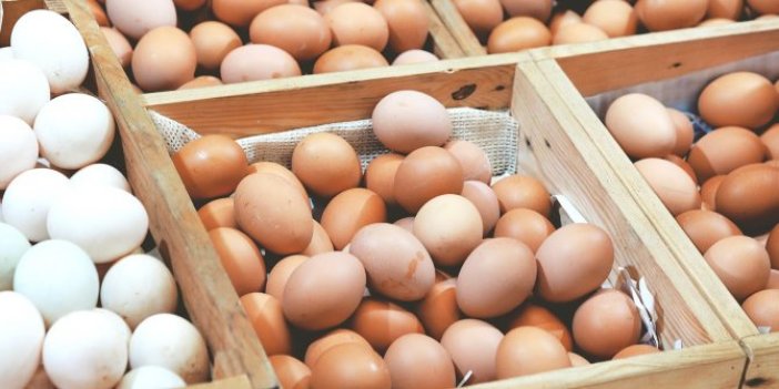 "Yumurta sektörü maliyetin altında satış yapıyor"
