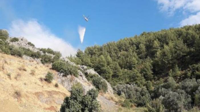 Fethiye'de orman yangını (14 Temmuz 2019)