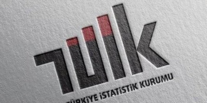 TÜİK revizyona gitti, bir günde 40 milyar TL zenginleştik