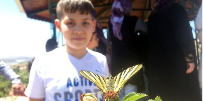 Türkiye'de çok az rastlanan o kelebek Sivas'ta görüldü