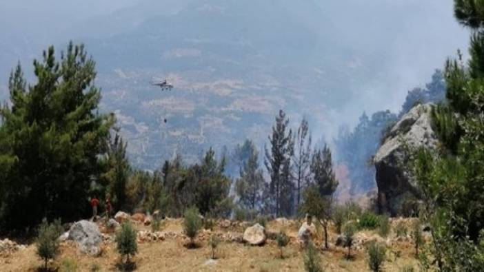 Mersin'de orman yangını (26 Temmuz 2019)