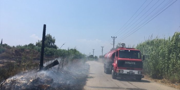 Antalya'daki makilik alanda yangın