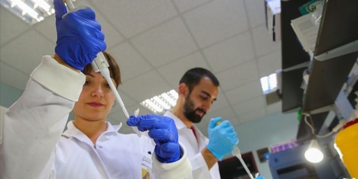Türk bilim insanları 4 ölümcül virüs tespit etti