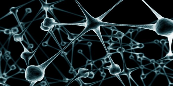 Fizikçiler asırlık 'nöron' teorisini çökertti