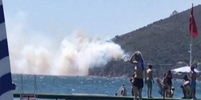 Burgazada'da ormanlık alanda yangın çıktı