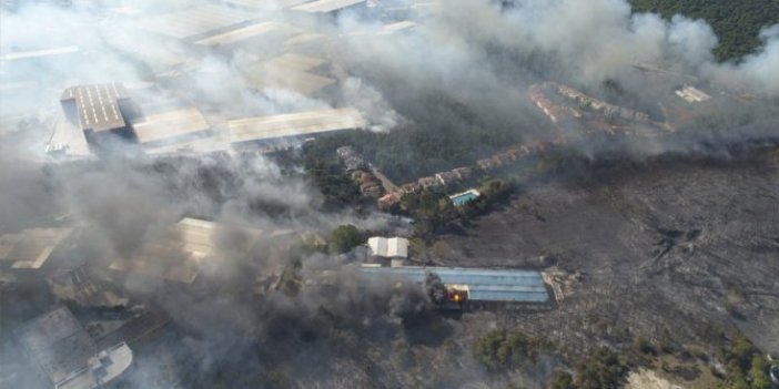Gebze'de orman yangını fabrikalara sıçradı