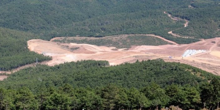 Ünlü uzmandan Kaz dağları uyarısı: “Türkiye için felaket olur”