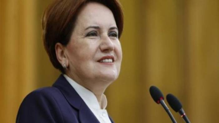 Meral Akşener Twitter'dan paylaştı (13 Ağustos 2019)