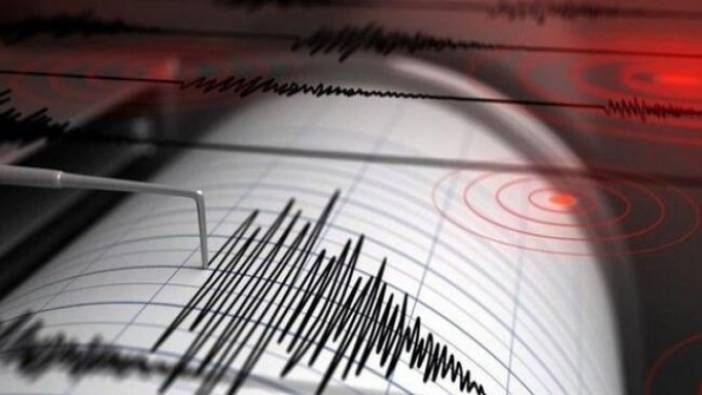 Kuşadası Körfezi'nde korkutan deprem (15 Ağustos 2019)