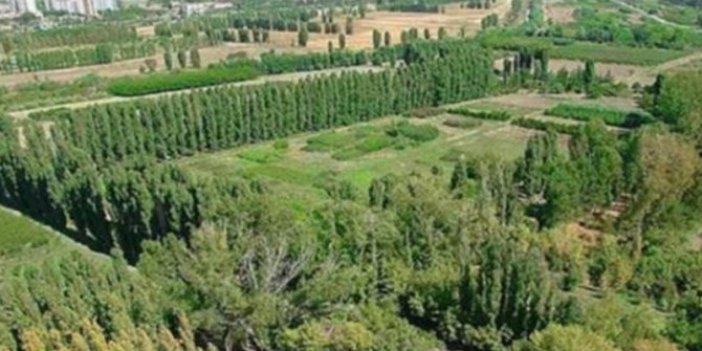 Belediye Atatürk Orman Çiftliği ihalesine giriyor