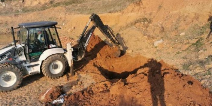 6 bin tavuk ölüsünün bulunduğu mahalle karantinaya alındı