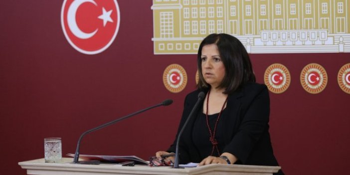 HDP'li vekilden skandal 'işgal' çıkışı