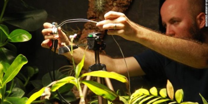 Dünyada ilk defa bir bitki tarafından selfie çekildi
