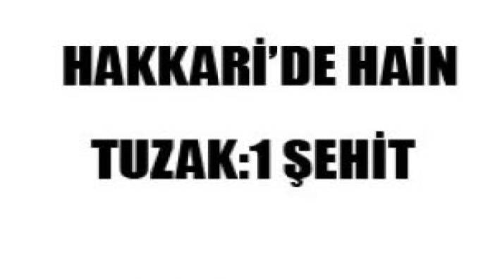 Hakkari’de hain tuzak: 1 şehit (30 Nisan 2010)