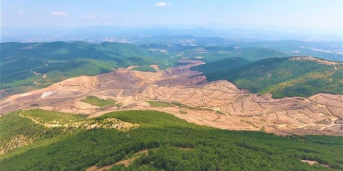 Murat Dağı'nda maden aramaya bilirkişi raporu!