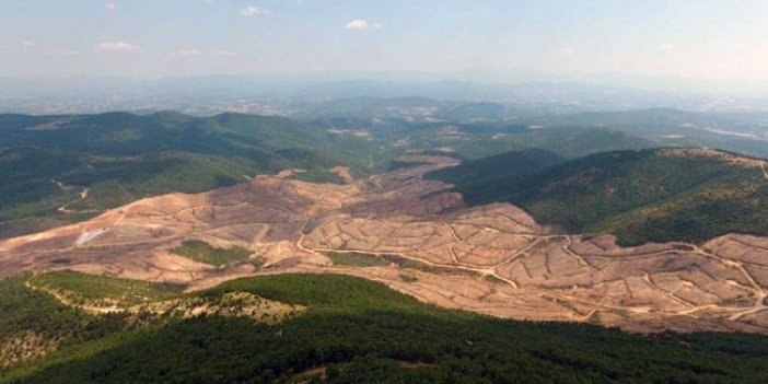 Kaz Dağları'nı katleden şirket sosyal medyada tepki aldı