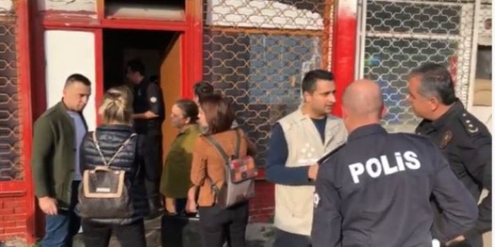 Et tesisine "kedi" baskını!