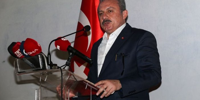 Mustafa Şentop: “Hükümet halk tarafından seçiliyor”
