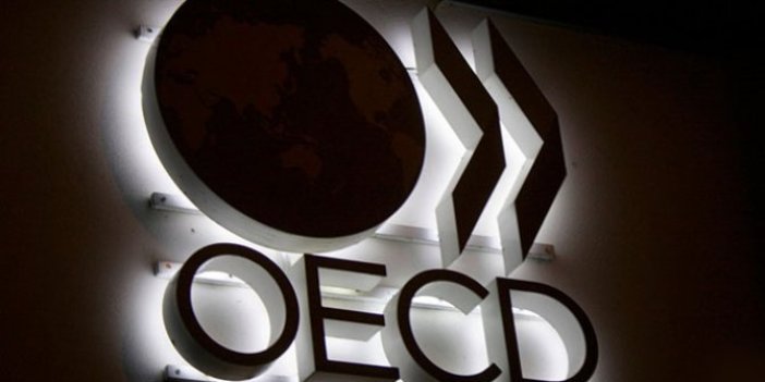 OECD’den Türkiye açıklaması