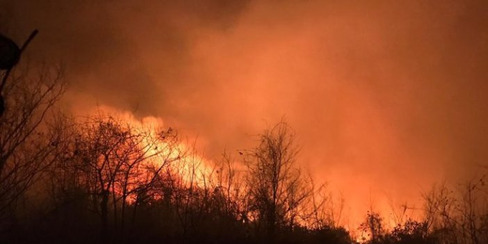 Karadeniz'deki orman yangınlarını PKK üstlendi