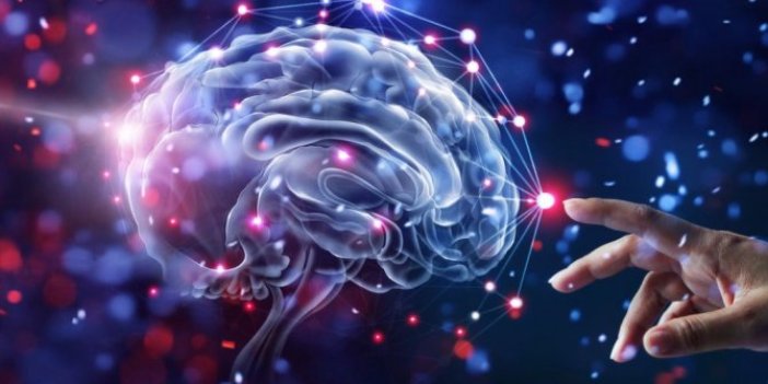 İnsan beyninde yeni tür bir sinyal keşfetti