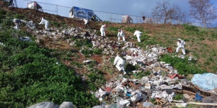Adalar'da faytonların ardından 25 ton atık toplandı