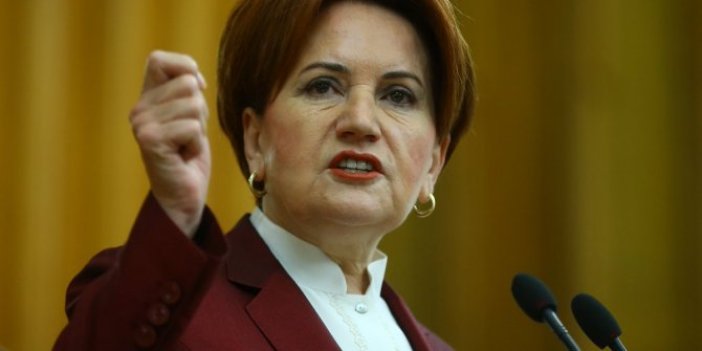 Meral Akşener'den Türk bayrağını yırtan Yunan vekile tepki