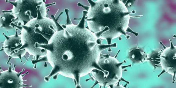 Coronavirüste korkutan grafik: Yüzde 38 arttı