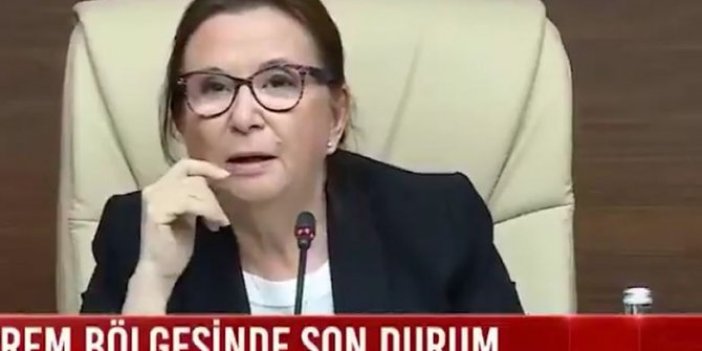 Ruhsar Pekcan’a Süleyman Soylu engeli
